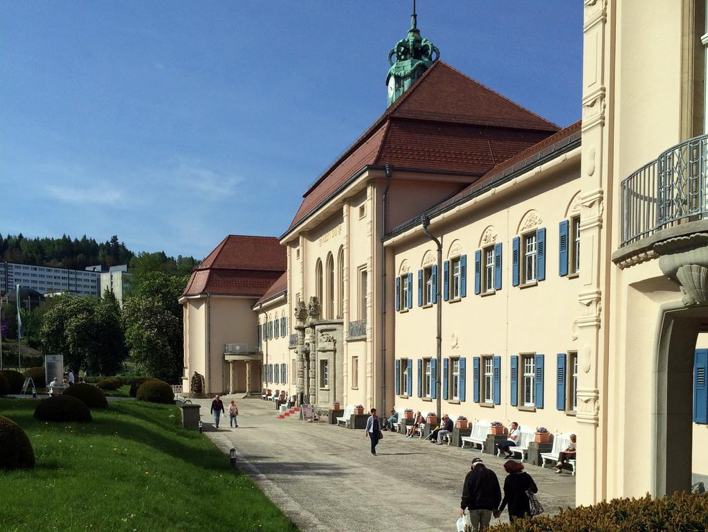 Апартаменты Sonnenhof Бад-Эльстер Экстерьер фото